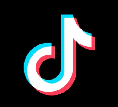 TikTok Logo